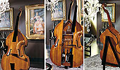  La Fenice