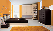  OASIS avolution